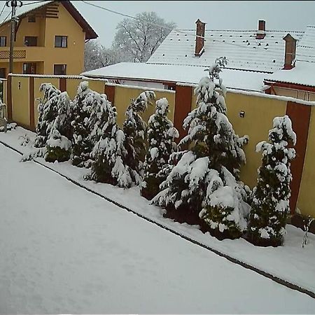 Izabella Guest House Sacele Bagian luar foto