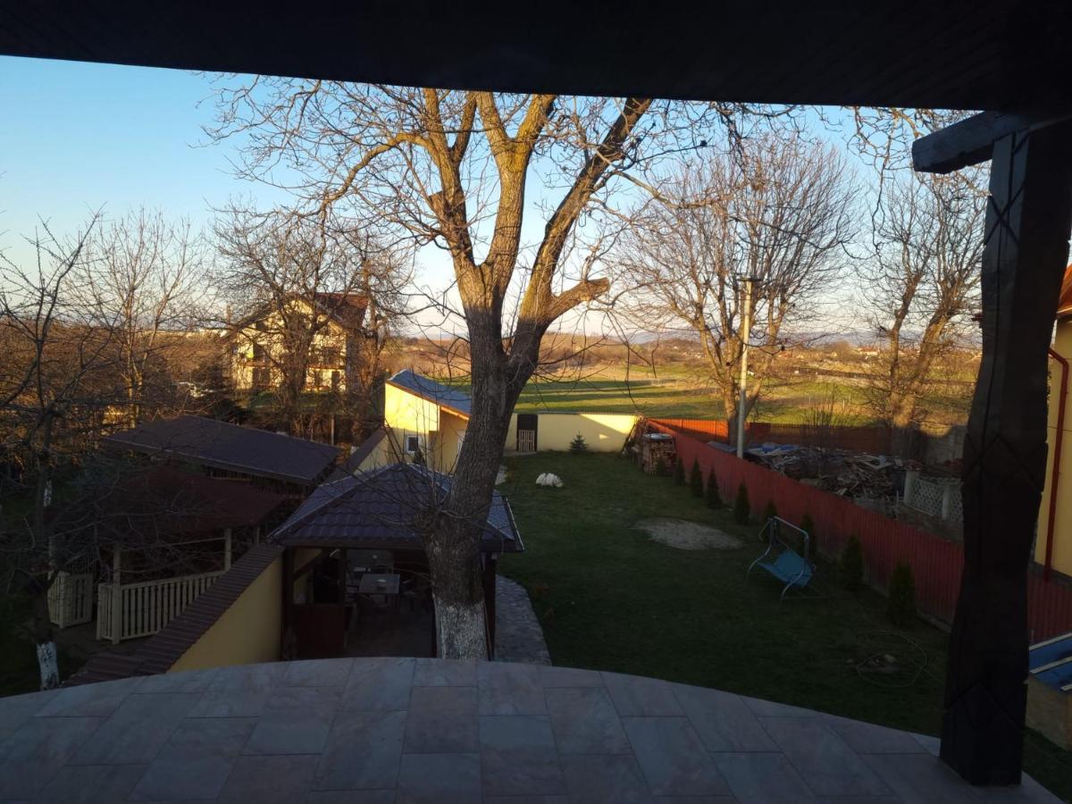 Izabella Guest House Sacele Bagian luar foto