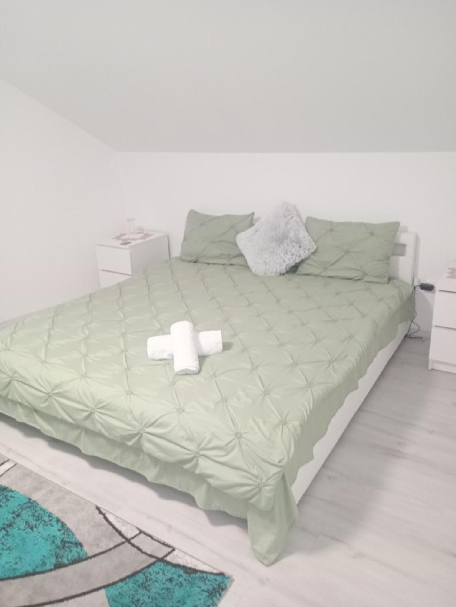 Izabella Guest House Sacele Bagian luar foto